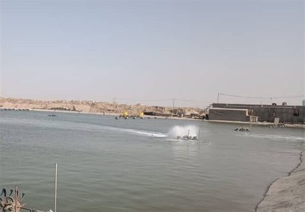  ۸ پروژه پرورش میگو در شهرستان گناوه به بهره‌برداری می رسد