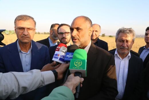 برداشت گندم در جنوب کشور آغاز شد