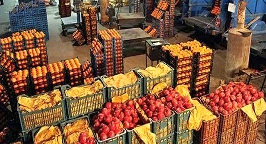 افزایش سهمیه میوه شب عید استان البرز نسبت به سال گذشته