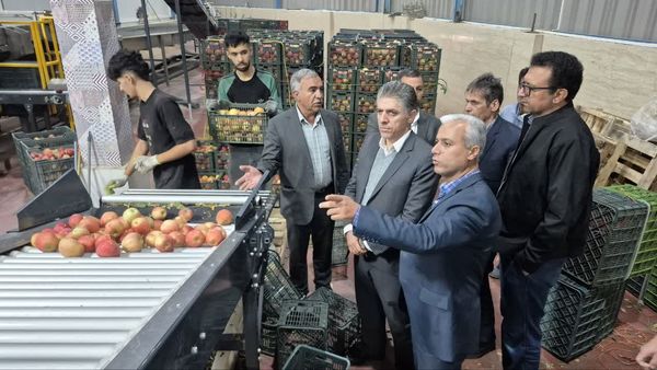 سفر هیات بازرگانی کرمانشاه به آذربایجانغربی برای تأمین سیب شب عید