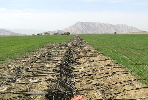 9 طرح آب و خاک شهرستان رابر در هفته جهاد کشاورزی به بهره برداری می‌رسد