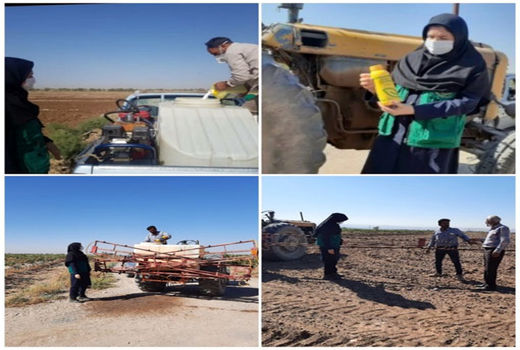 کنترل علفهای هرز مزارع کلزا در بخش ایلخچی