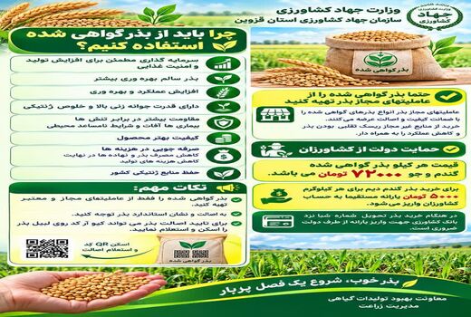 چرا باید از بذر اصلاح شده استفاده کرد 
