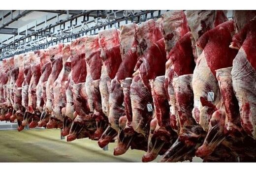 تولید 400 تن گوشت قرمز در بابل/ ارزش اقتصادی 800 میلیاردی