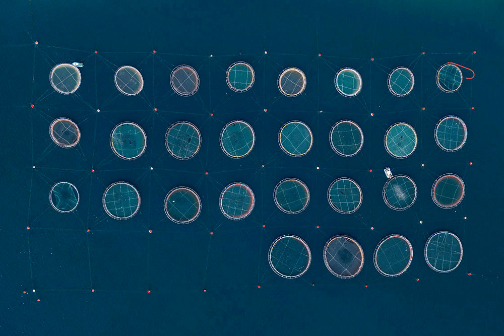 مشاهدات هوايی مزارع ماهی