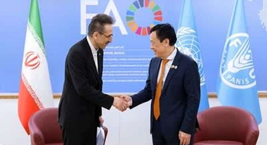 اعتبارنامه سفیر ایران در فائو تقدیم شد/ تاکید بر همکاری‌های سازنده