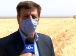 پایان برداشت جو از مزارع شهرستان نطنز