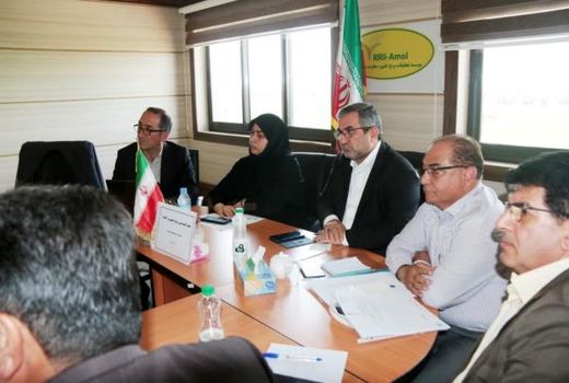 مازندران در مسیر کاهش ضایعات برنج با هدف دستیابی به پایداری تولید