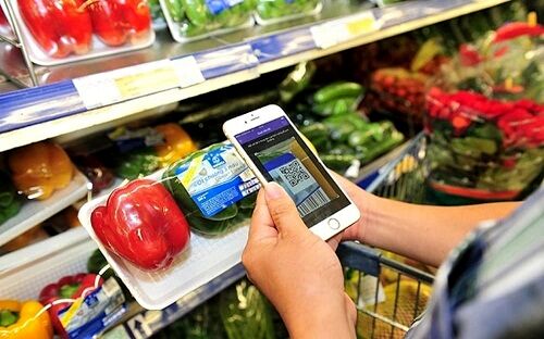 اخذ QR Code برای عرضه ی 8 محصول کشاورزی الزامی شد