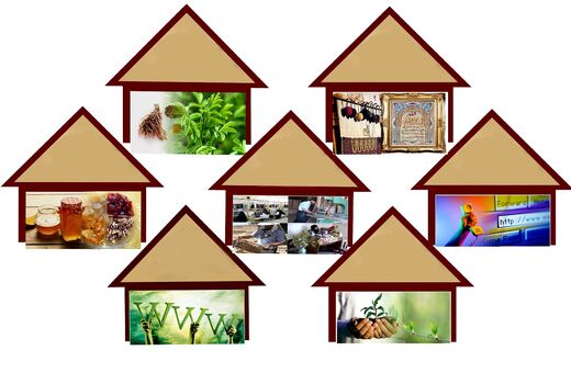 پرداخت بیش از 10 میلیارد ریال تسهیلات مشاغل خانگی در باوی
