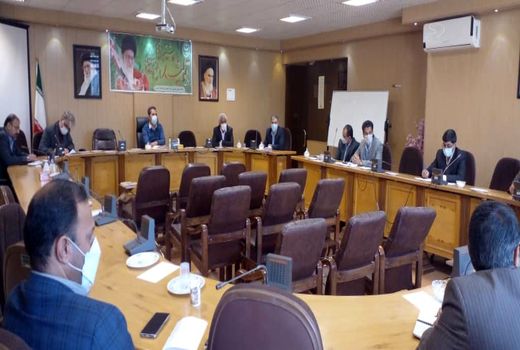 پایداری تولید و تامین امنیت غذایی با توسعه کشت قراردادی گندم دوروم