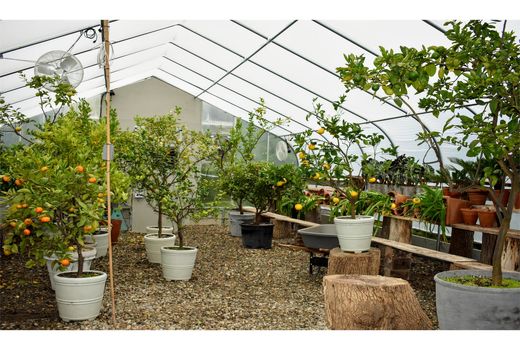 فعالیت 200 گلخانه در قائم شهر/ 