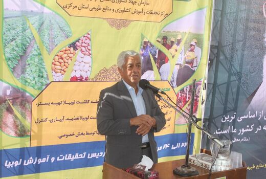 وضعیت بخش کشاورزی کشور به رغم تحریم ها و جنگ اقتصادی مطلوب است
