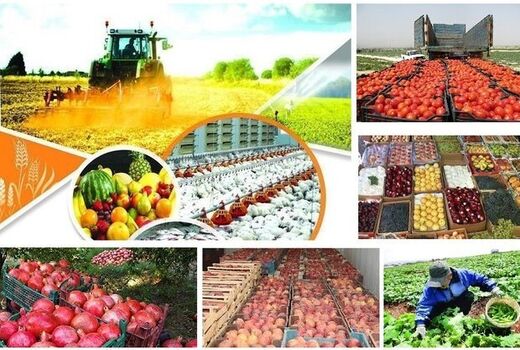 بازارچه عرضه مستقیم محصولات کشاورزی در قزوین افتتاح می‌شود