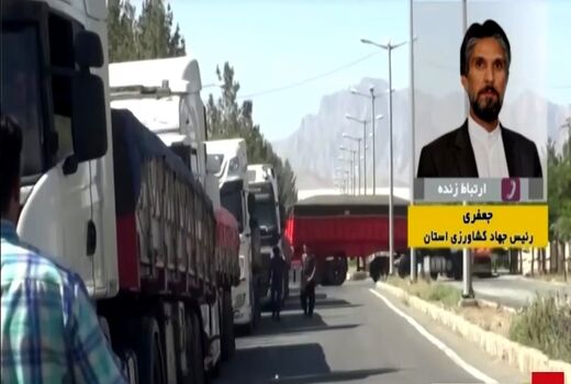 نهاده‌های دام و طیور وارد استان شد