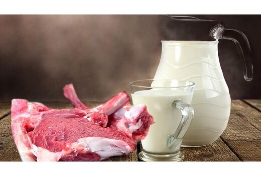 تولید56 هزار تن شیر و گوشت قرمز در ساری