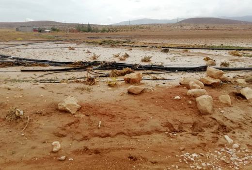 سیل به کشاورزی کوار آسیب وارد کرد 