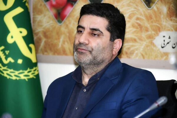 اعلام سیاست‌های حمایتی از کشت قراردادی گندم، جو و دانه‌های روغنی