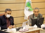 توسعه زراعت چوب با آب‌های نامتعارف در دستور کار سازمان جنگل‌ها