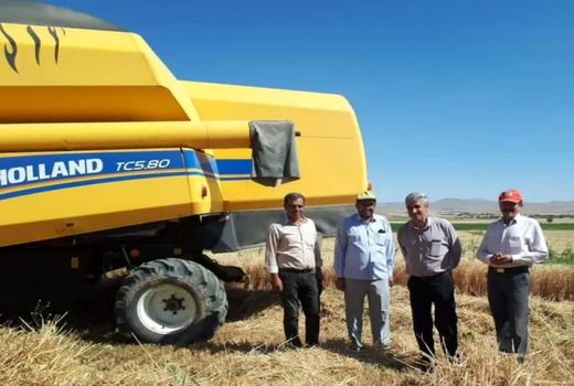 گندمکار دزکی در بین برترین گندمکاران کشور