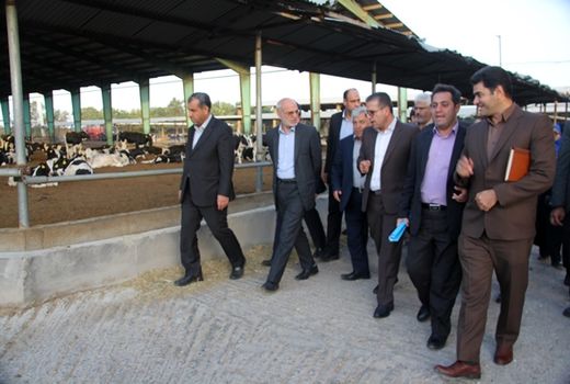 مقیمی از واحدهای صنعتی_کشاورزی  ری بازدید کرد