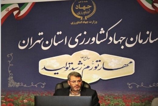 کشت محصولات زراعی پاییزه در استان تهران به بیش از 54 هزارهکتار رسید