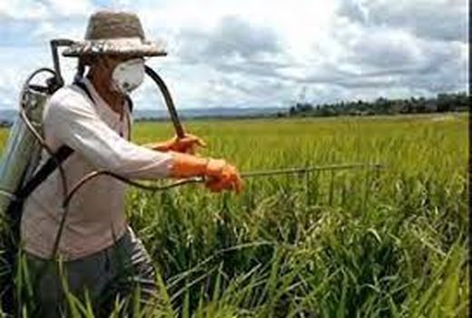 آشنایی با عوامل فیزیکی ،شیمیایی و بیولوژیکی مخاطره آمیز برای کشاورزان در گتوند