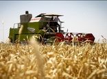 پیش‌بینی برداشت ۳۶ هزار تن جو در شهرستان بهار