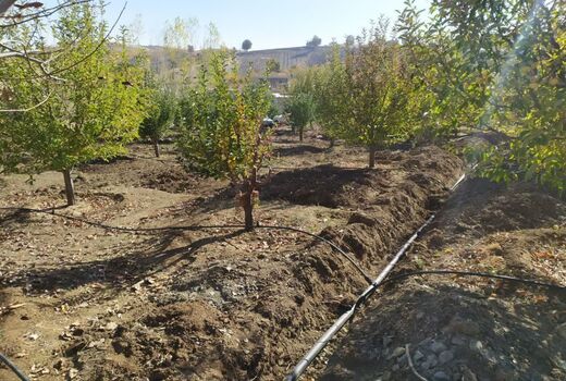 ۸۰۰ هکتار از اراضی کشاورزی سردشت به شبکه نوین آبیاری تجهیز شد