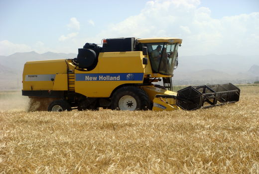 آغاز برداشت جو از مزارع کشاورزی استان قزوین 