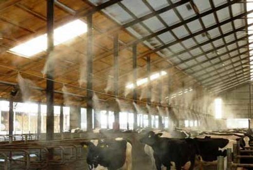 پیشگیری از تلفات دامی با احداث استخر و مه پاش