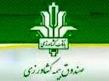 8000 هکتار از شالیزارهای مازندران بیمه شد