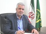کشت هندوانه در الگوی کشت استان همدان جایی ندارد