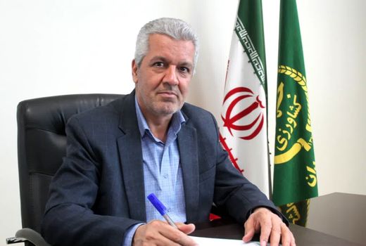 کشت هندوانه در الگوی کشت استان همدان جایی ندارد