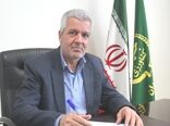 کشت هندوانه در الگوی کشت استان همدان جایی ندارد