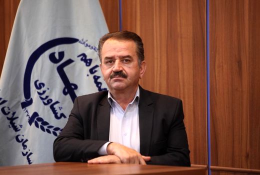 تخصیص اعتبار 500 میلیاردی  به حفاظت از ذخایر آبزیان آب‌های جنوب کشور 