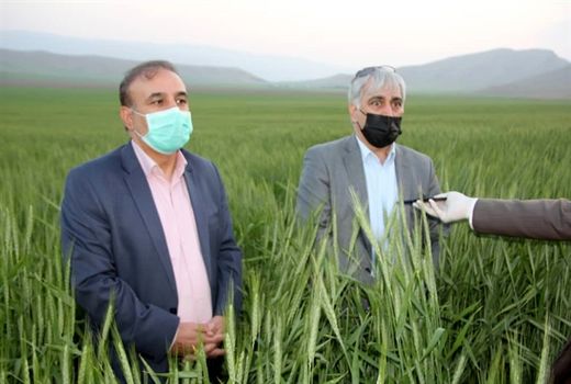 مدیریت کشاورزی در لرستان موفق بوده است