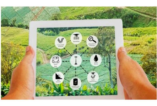 15 هزار هکتار زمین کشاورزی محمودآباد در سامانه سیاک ترسیم شد