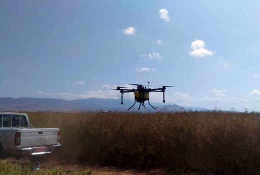 سمپاشی 40 هکتار از اراضی زیرکشت کلزا و گندم با پهباد سمپاش در روستای سرای شهرستان هریس