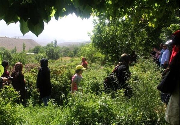 ساماندهی طرح‌های گردشگری کشاورزی بدون تخریب اراضی کشاورزی