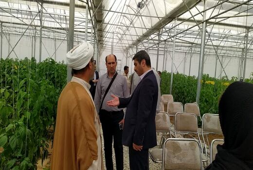 گلخانه تولید فلفل دلمه‌ای و مرکز تحقیقات به بهره‌برداری رسید