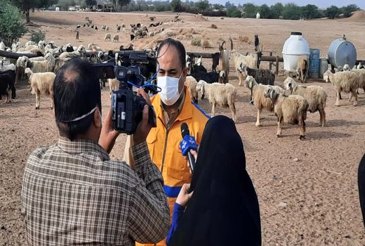 واکسیناسیون «تب برفکی» دام سبک و سنگین در خوزستان آغاز شد