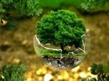 مانع پیش‌روی مدیریت منابع طبیعی مشکلات ساختاری و قانونی است