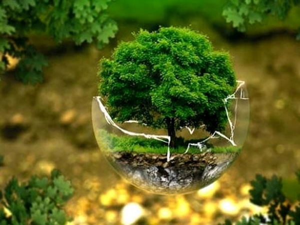 مانع پیش‌روی مدیریت منابع طبیعی مشکلات ساختاری و قانونی است