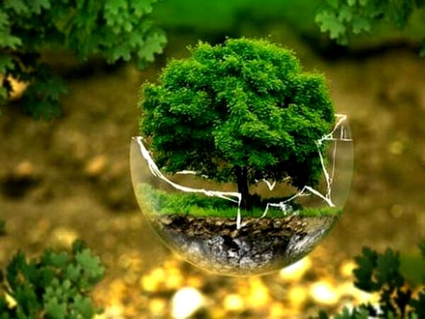 مانع پیش‌روی مدیریت منابع طبیعی مشکلات ساختاری و قانونی است