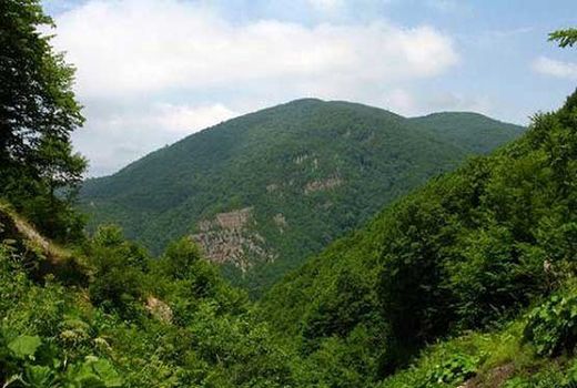  داستان تلخ سودای ثروت ، مرگ طبیعت 