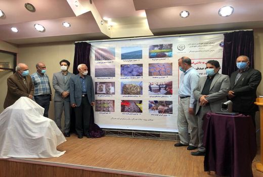 تولید انبوه صدف خوراکی در هرمزگان