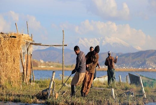 صید ماهی از منابع آبی کردستان آغاز شد