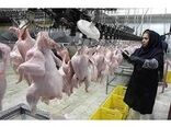 تولید 960 تن گوشت سفید در محمودآباد