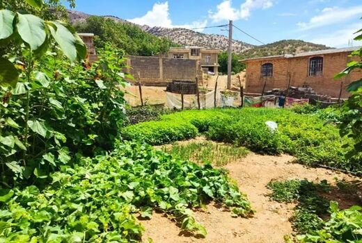 توسعه باغچه های سلامت خانوادگی با هدف ترویج تغذیه سالم درشهرستان ورزقان